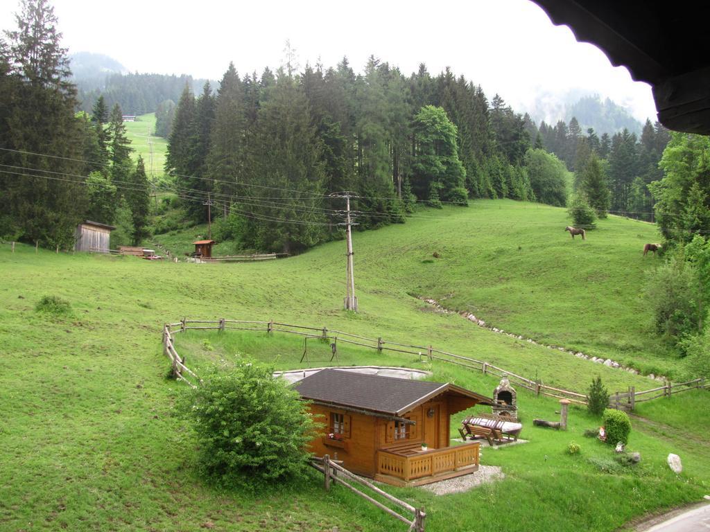 Haus Wallinger * Abtenau